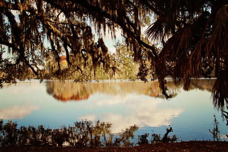 gainesville